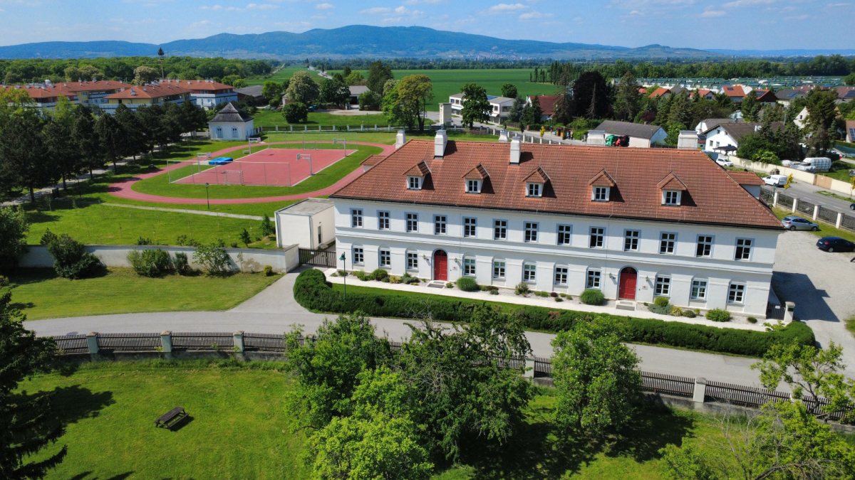 Schola Thomas Morus